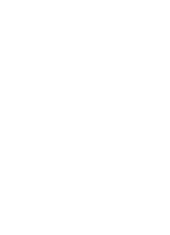 Dynasty Gold Corp.